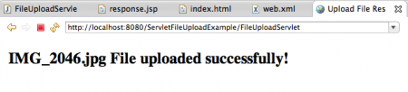 Servlet File Upload Success